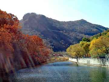 新澳天天开奖资料大全旅游团，山西煤炭价格